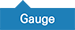 Gauge